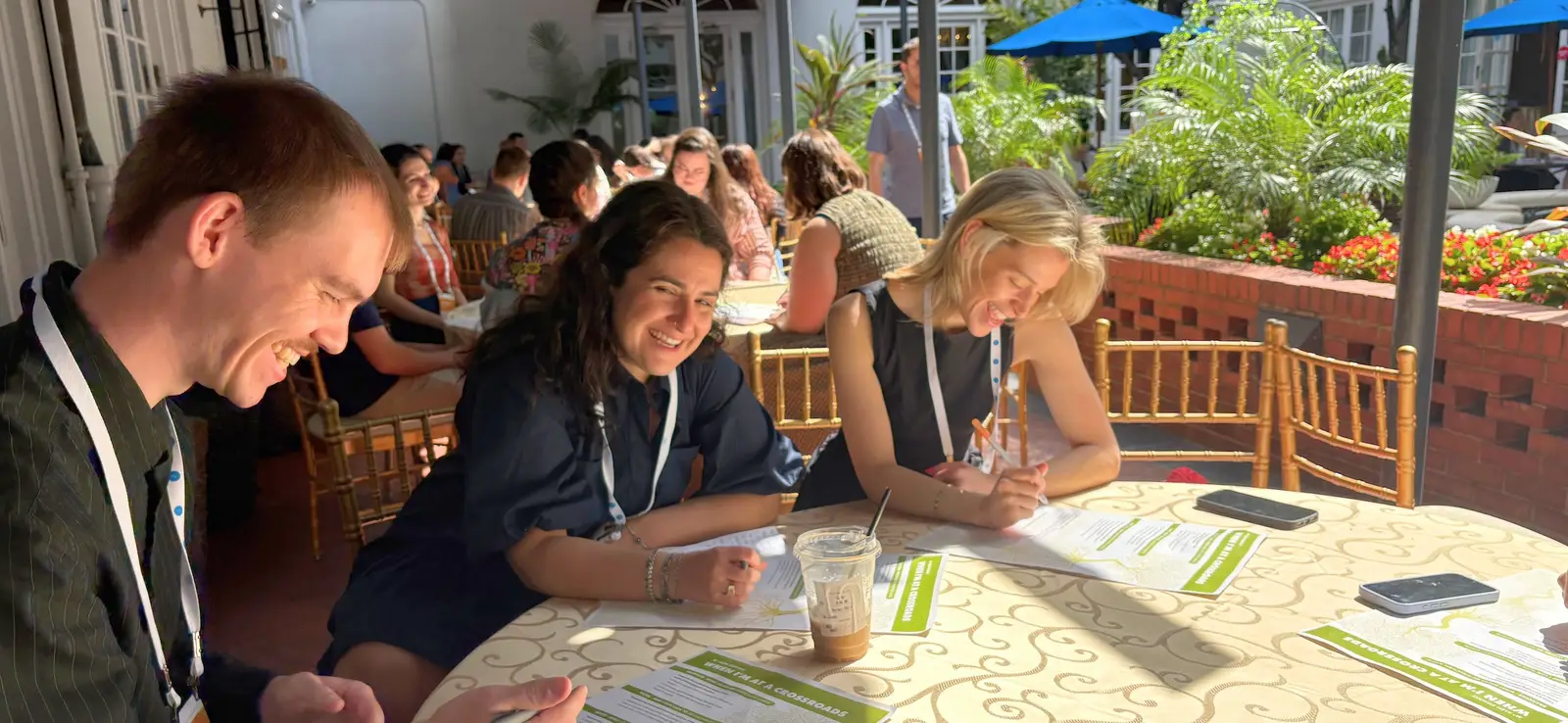 Aleh Summits